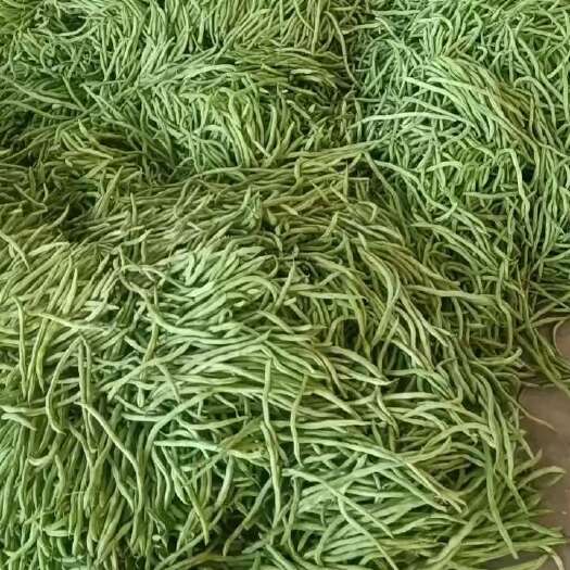 武山县精品架豆王