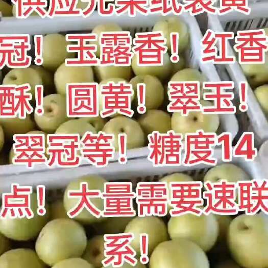 襄城县红香酥