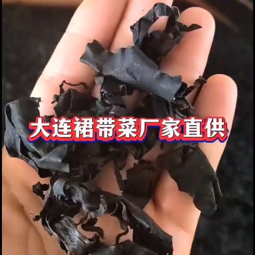 大连干燥裙带菜