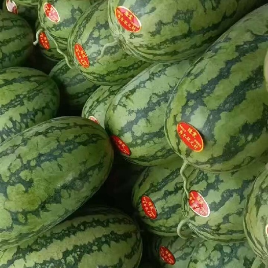绿爽西瓜
