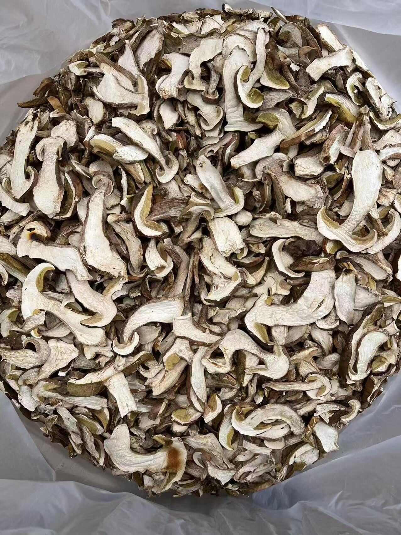 成都美味牛肝菌