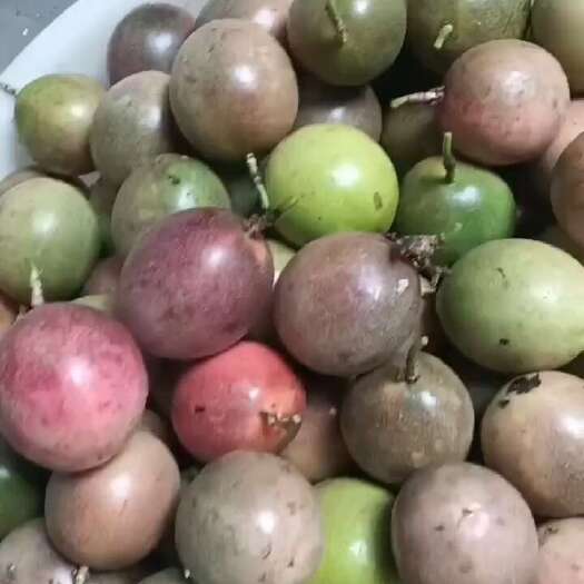 思茅百香果，果大，汁多