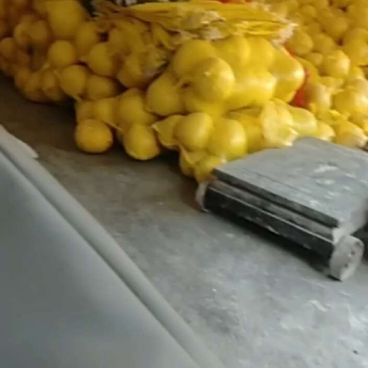 皮薄多汁管溪蜜柚