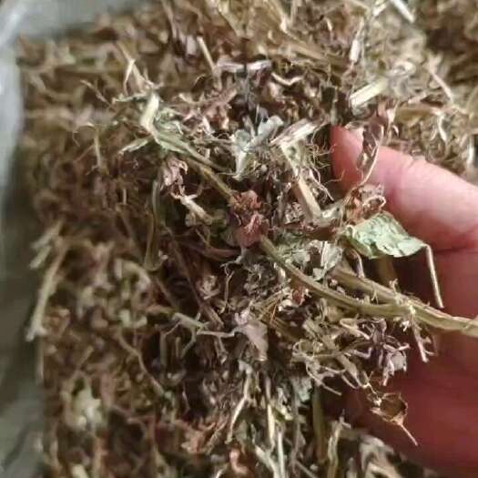 高安市花生秧草料味   无土   无膜  无霉变    新鲜草料