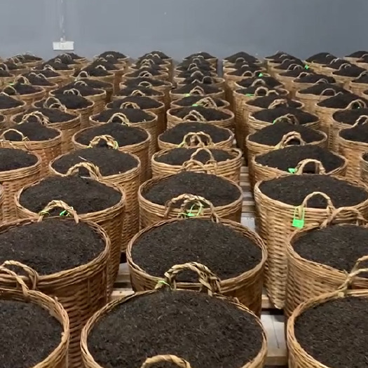 梧州六堡茶茶厂一手货源价格