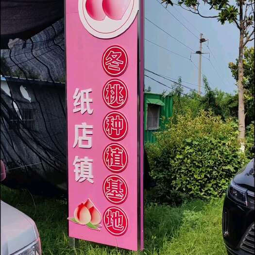 沈丘县优质品种锦绣黄桃