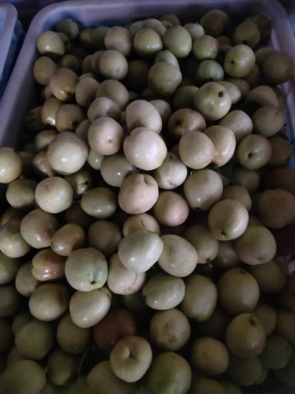 婆枣，脆枣，