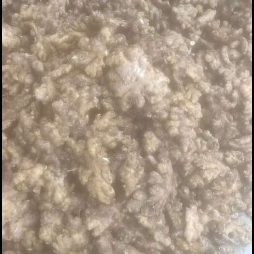 【自家种植】小黄姜，现挖现发，新鲜现货，量大价优，欢迎咨询