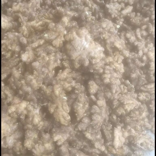 兴义市【自家种植】小黄姜，现挖现发，新鲜现货，量大价优，欢迎咨询