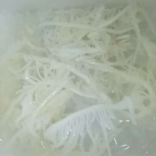 成都500克新鲜毛肚火锅食材批發新鲜白毛肚千层