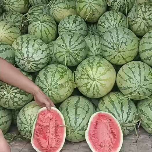 襄城县金城