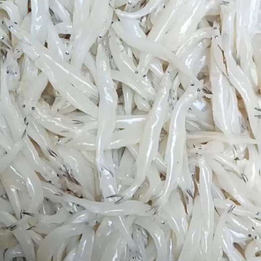 10-12公分质量相当好