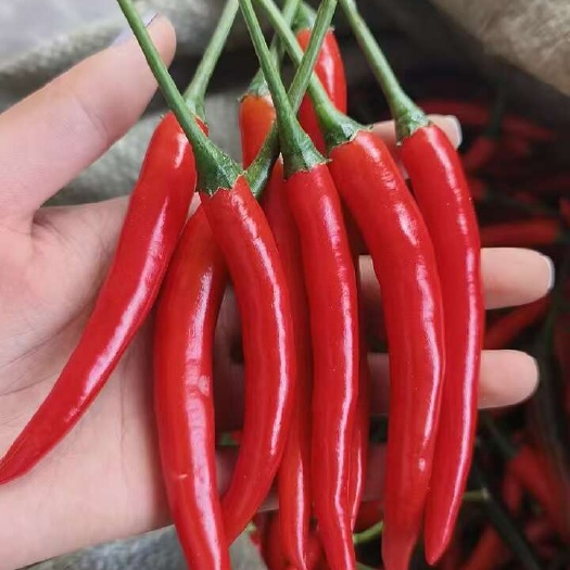 石屏县精品电商货