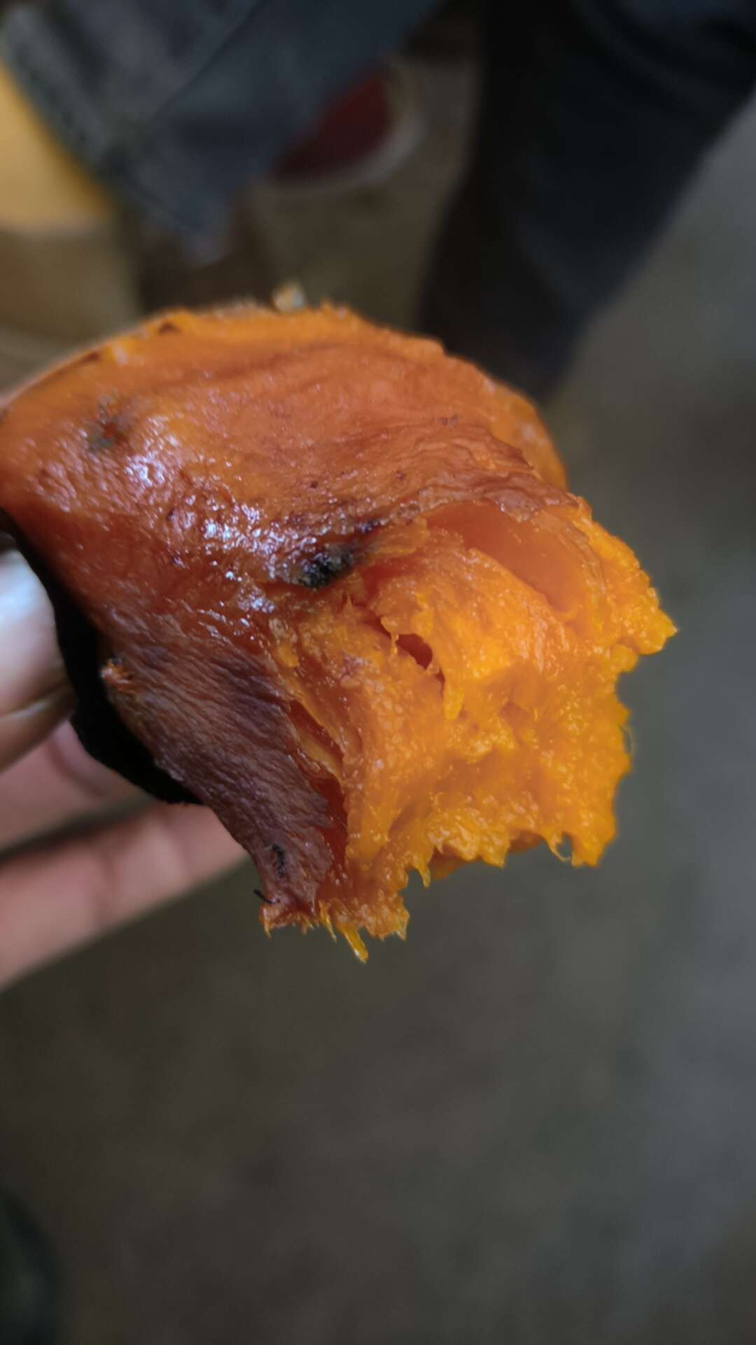 山东夏津优质蜜薯3两-6两中果新鲜红薯根茎蔬菜产地直发