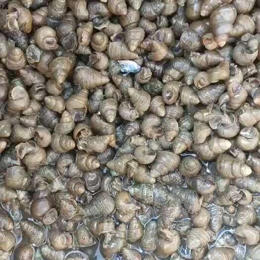 绍兴要货的老板联系