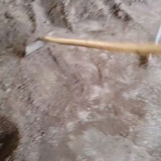 英德市鸡粪有机肥