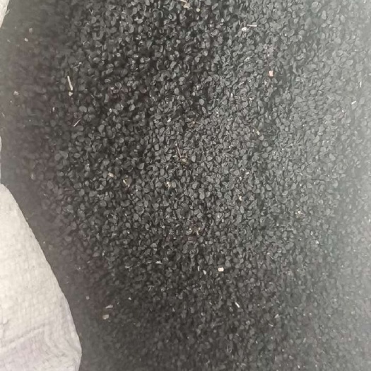 邯郸长白葱葱籽，新！