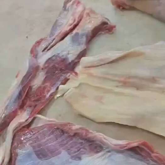 阳信县带肉宫后筋