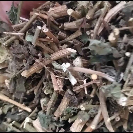 白英，白毛藤新货颜色绿