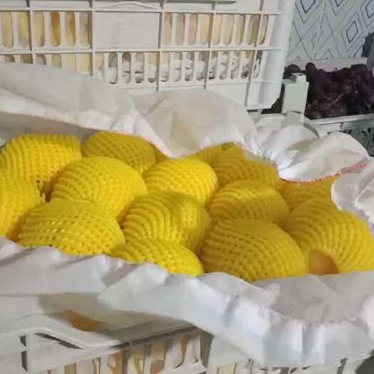 长沙炎陵黄桃