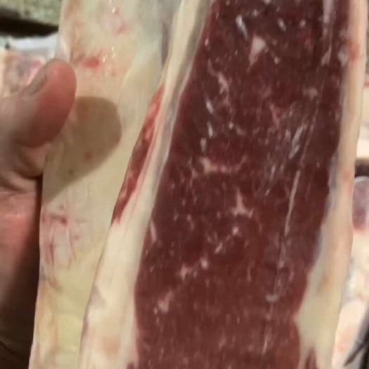 谷饲100天胶原肥牛