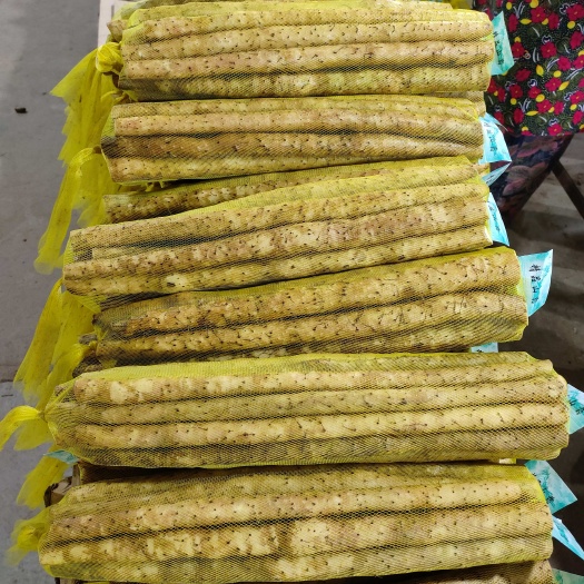 蠡县铁杆山药