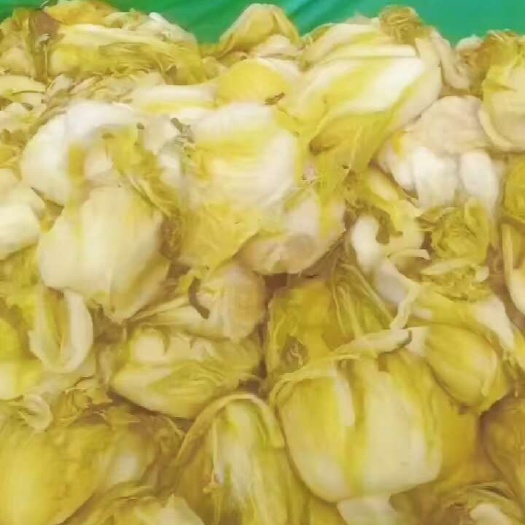 酸白菜