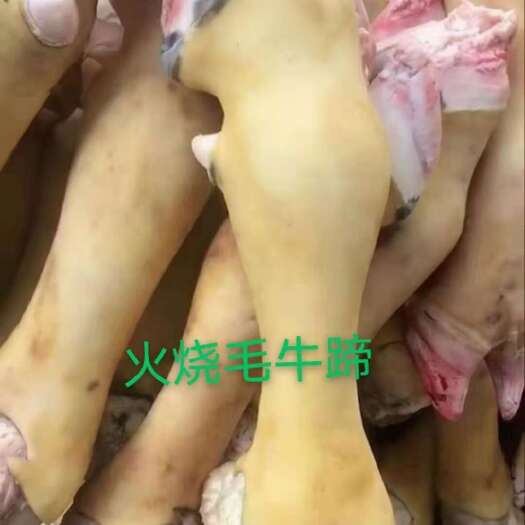 牛蹄 火烧去毛牛蹄冲洗干净全国发货欢迎新老客户采购