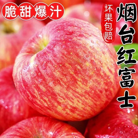 莱阳市2024新果精品红富士苹果一级果/支持一件代发/社区公司团购
