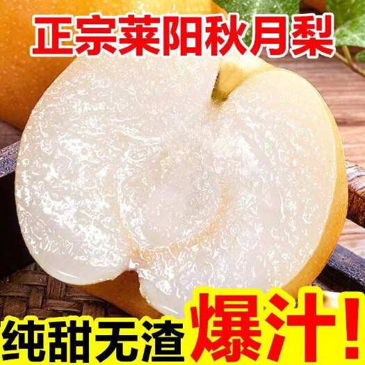 莱阳市莱阳秋月梨精品果大型基地实力支持一件代发/整车/量大从优