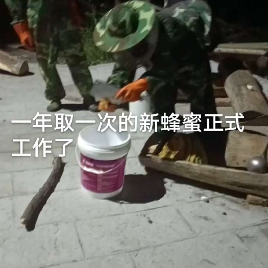 阿坝九寨沟高海拔养殖土蜂蜜自己养殖正宗蜂蜜包邮价格