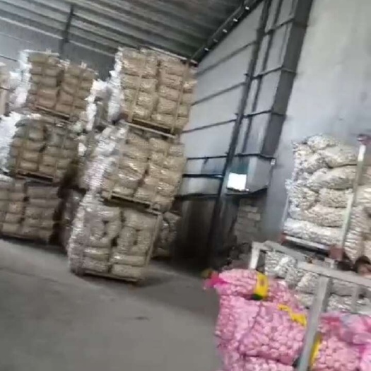 邳州市邳州精品大蒜