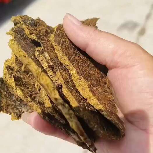 邹城市棉籽壳走35吨