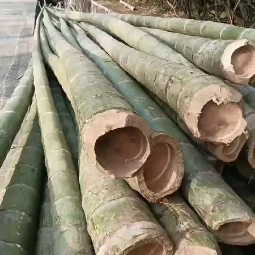 永安市毛竹 新鲜老竹子8到15米建筑工程搭棚，可定制规格