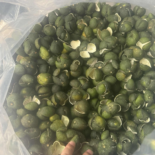 江门当年新会3花青皮