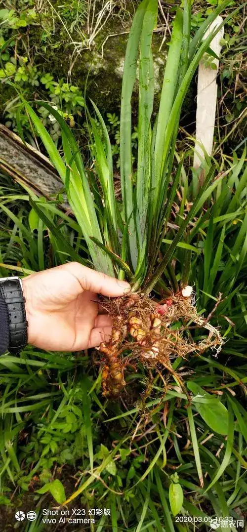活力森林苗圃園