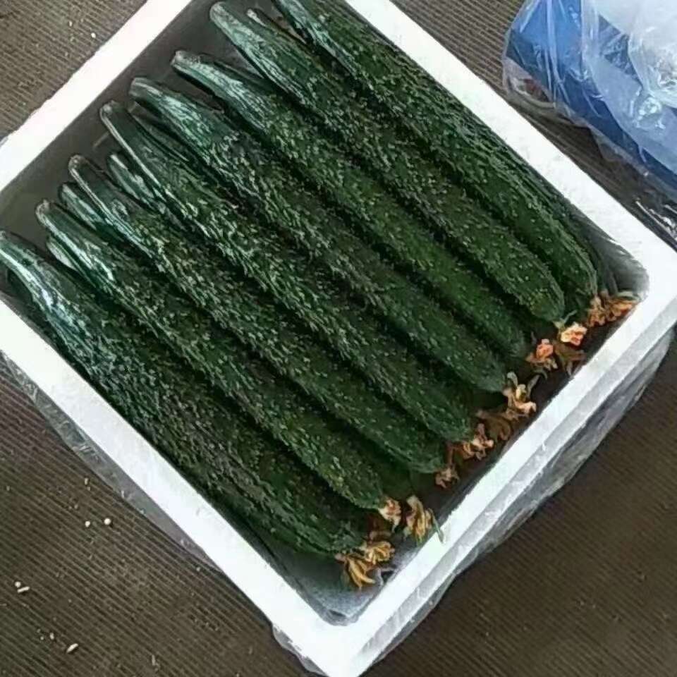 刺黄瓜，黄瓜，青瓜，长黄瓜