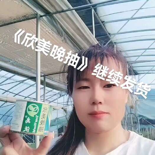 潍坊精品铁杆葱苗，品种齐全，一手货源，基地直供