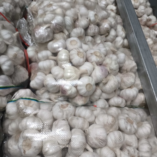 邳州市邳州净蒜，出口品质，支持代存，代办。