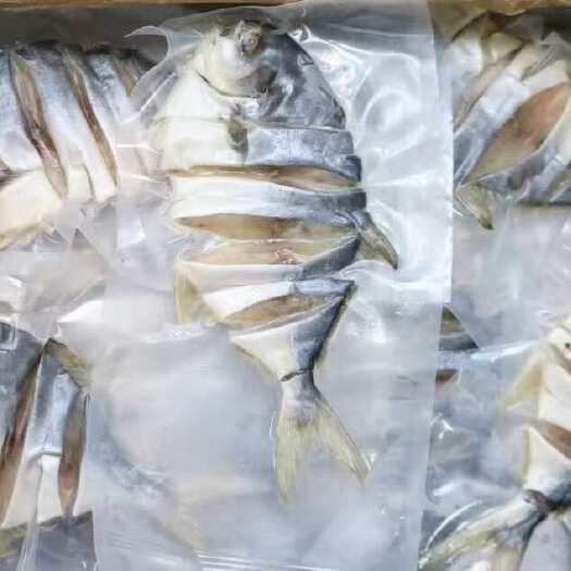 湛江金鲳鱼干批发各种规格金昌鱼仓鱼
