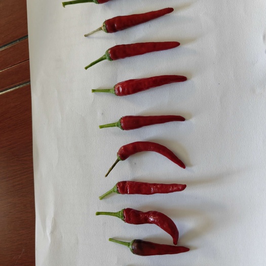 兴化市全自然生长，无农药喷散，全人工化。种植面积达5亩，价格可谈