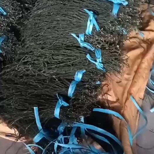 单县干豆角