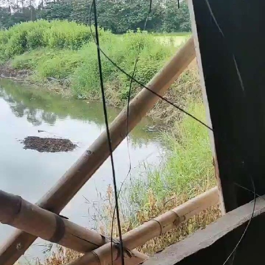 连平县揭东区白塔镇鱼塘出租