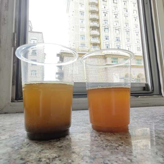 满洲里市俄罗斯油菜籽46 含油油色85分过筛净粮出库