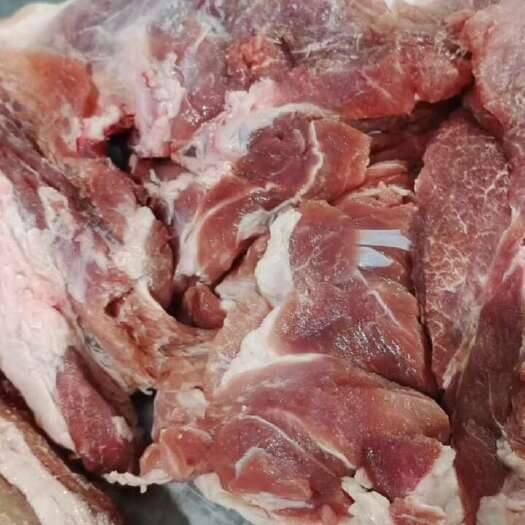 临沂肥猪前腿肉
