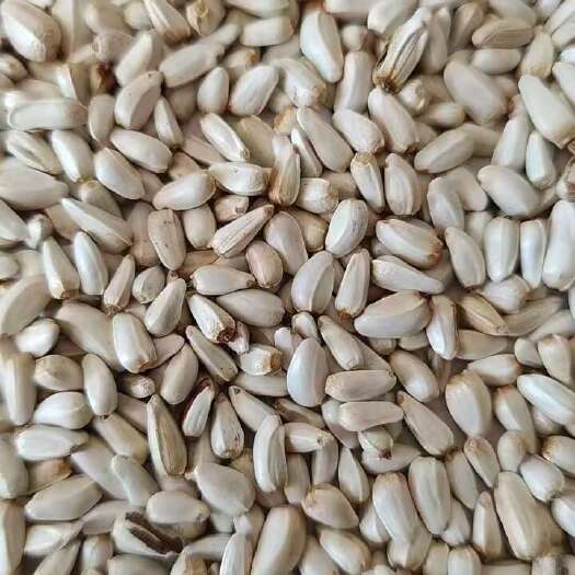 成都头茬精选红花籽，哈萨克斯坦，今年新货上新（支持同城拼单）