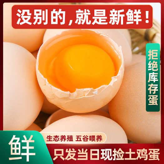 南平菌草科学喂养天然富硒土鸡蛋