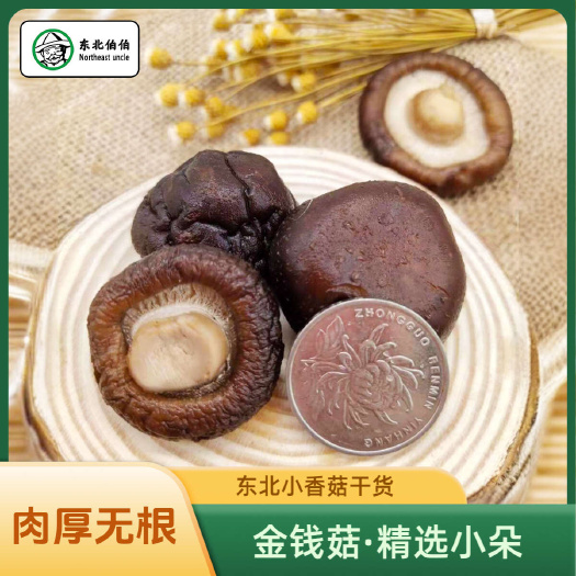 东北小香菇干货500g长白山椴木香菇手选金钱菇剪柄冬菇黑面菇