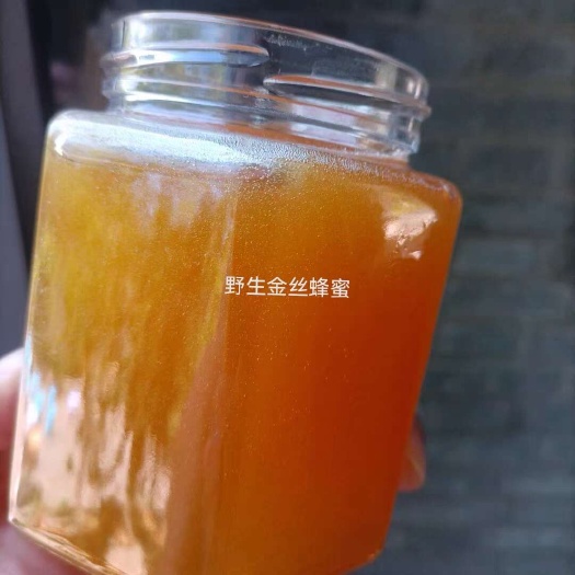 黔西市野生土蜂蜜天然成熟农家自产春蜜优选特产槐花蜜椴树蜜枇杷百花蜜