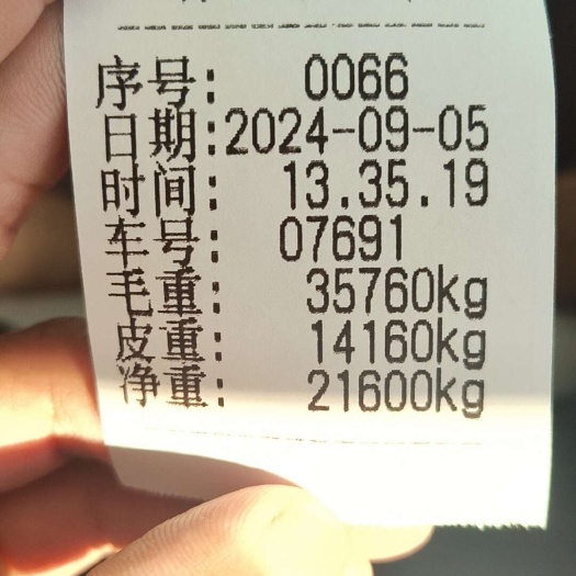 广平县玉米秸秆黄储